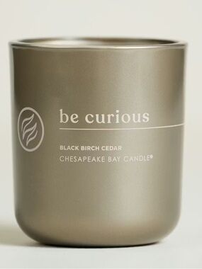 Chesapeake Bay 'Be Curious' Black Birch Cedar Scented Candle - Taupe